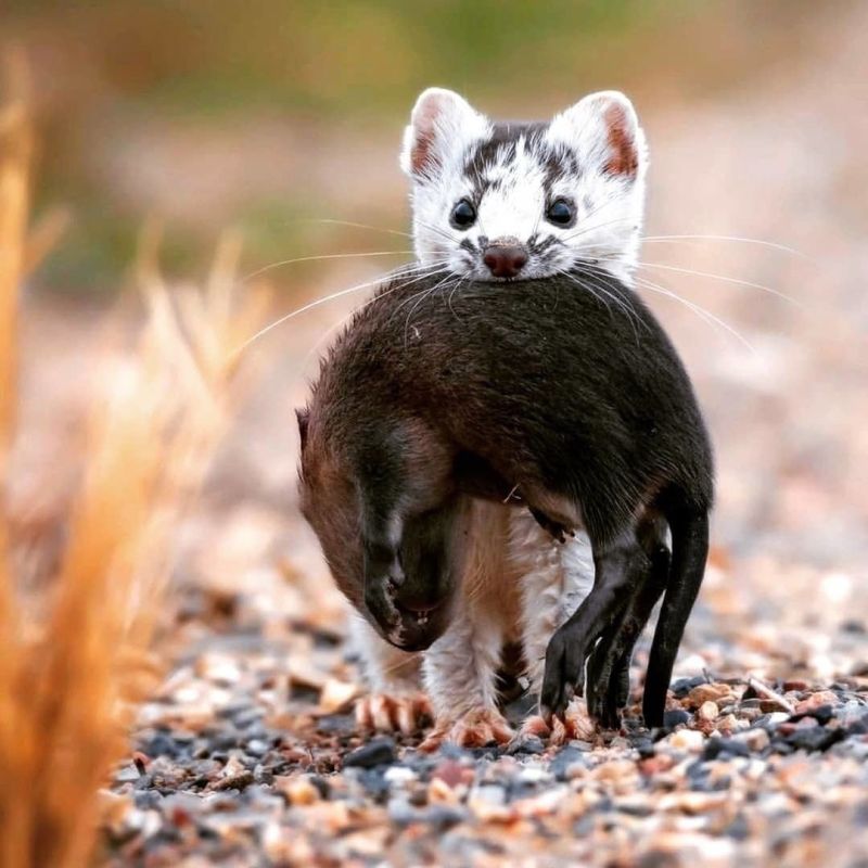 ������ �� �� ����� �������� ����� ��������� ������ ����� �� ����� �����?