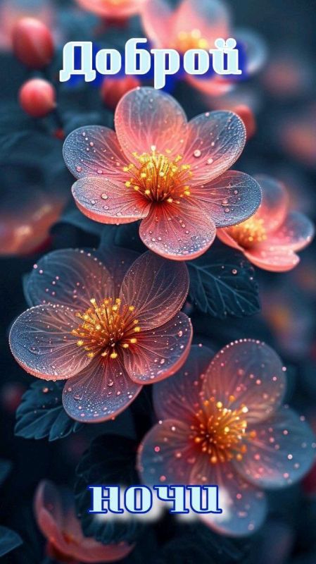 ������ �����, ������!. �� �������� ������ � ������� ����� ��������� ������ �� ������. � �������� ������������ � ��������...