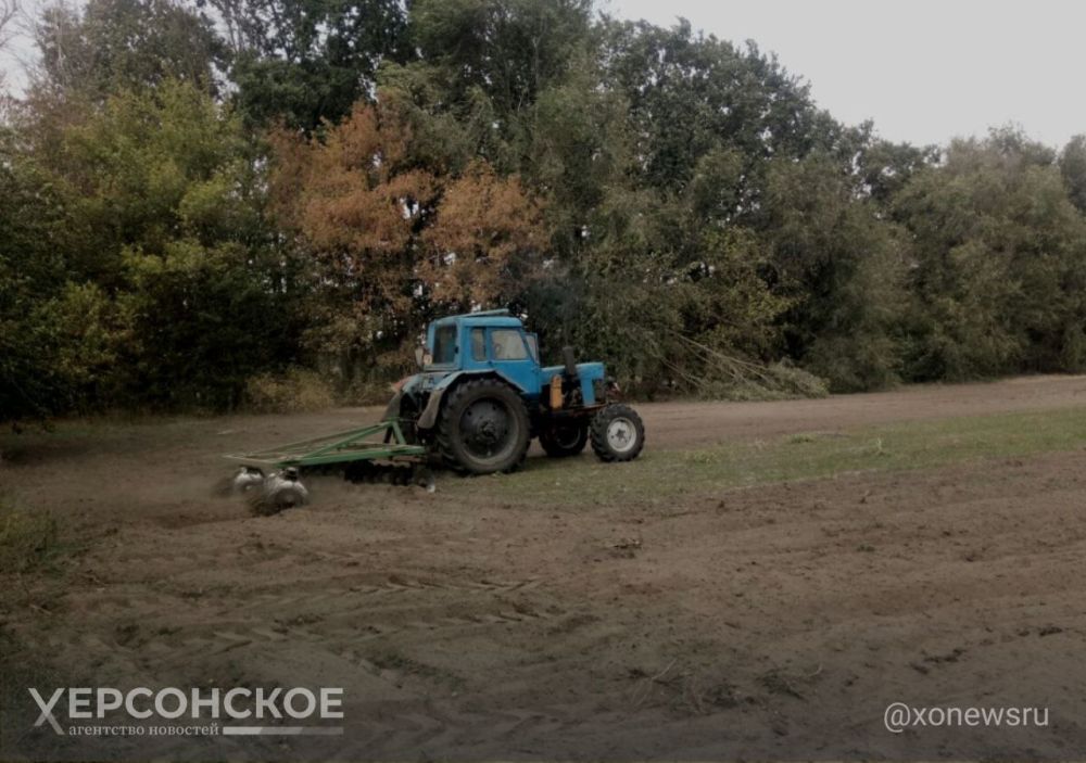 ��������������� ����������� ������� ������ �� ����� �� �������� ����� ��������