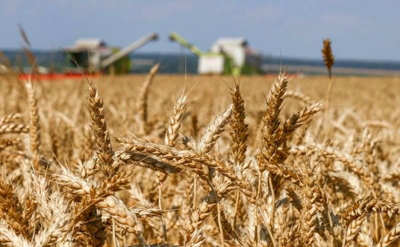 �������� ����� �� ������ � 13 ����� ����� ���� ��� ����������� �����������