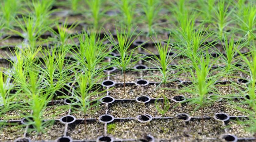 ����� 600 ���. �������� ������� � �������� � ���������� � ����� ����