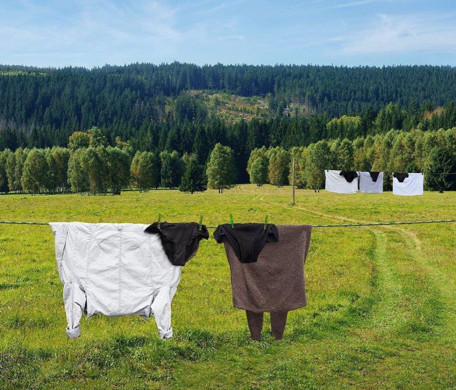 � ������ �����, �����������!