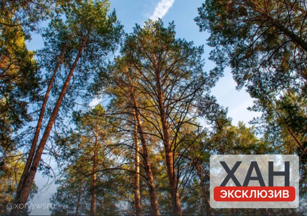 ��������� ��������� � �������� ���������� ������� �� ������� ��������� �������� � ���������� � ��