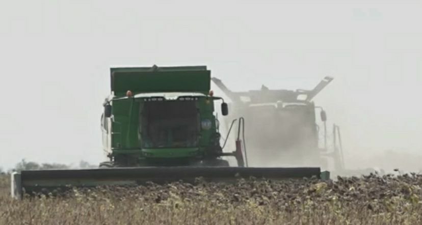 ������ ����������: ������� ������� ��������� ������ ������ � ��������� � ������ ������ ����������