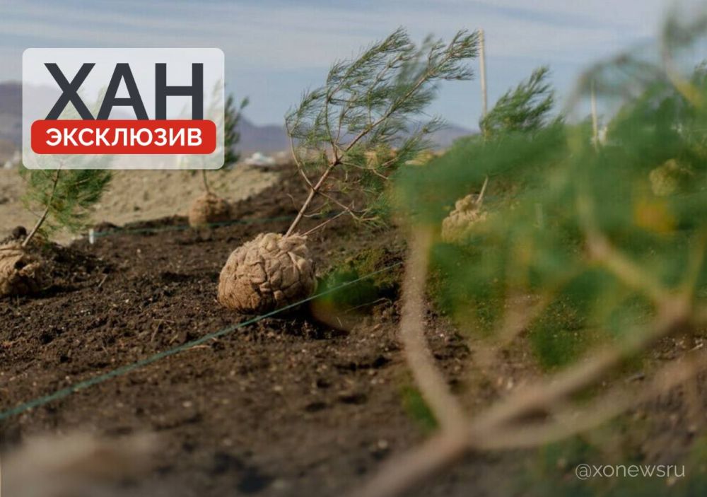 ��������� ��������� � ������ �� �������������� ����� � ���������� �������