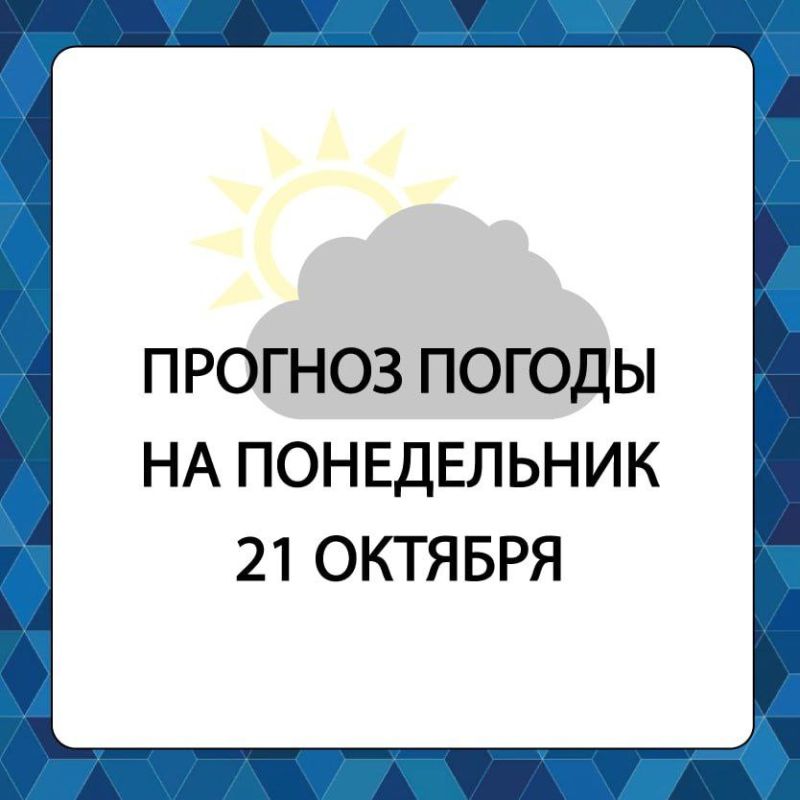 ������� ������ � ����������� ������������� ������ �� �����������, 21 �������