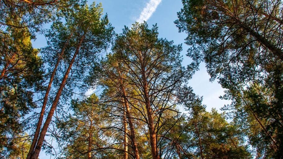 ��������� ��������� � �������� ���������� ������� �� ������� ��������� �������� � ���������� � ��