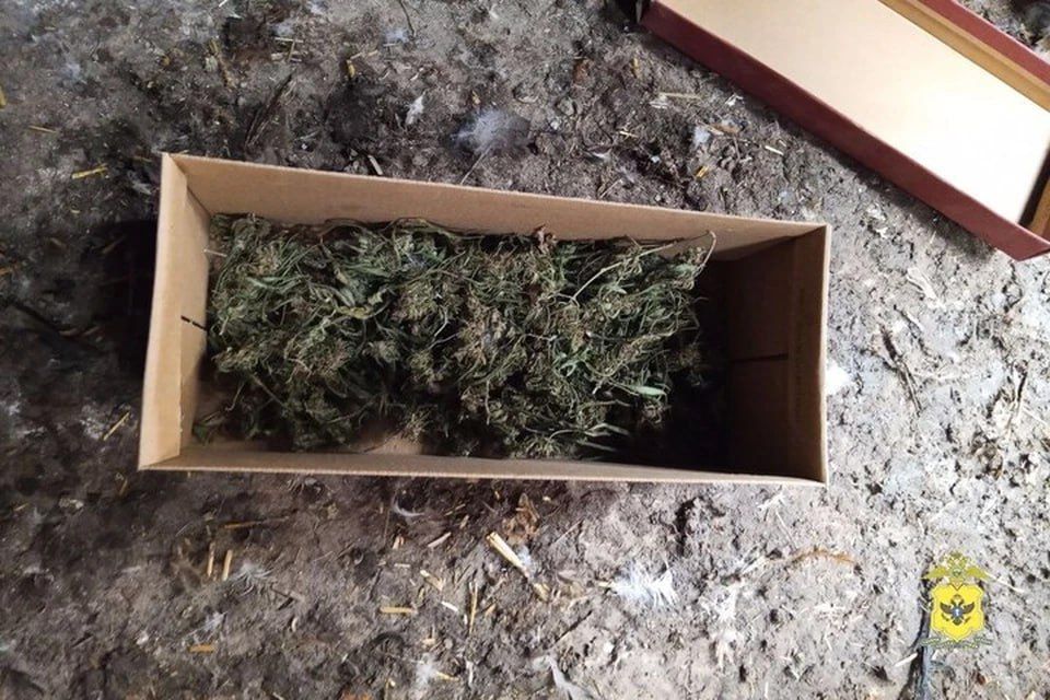 � ���������� ������� � ������� ����� ������� � ��������