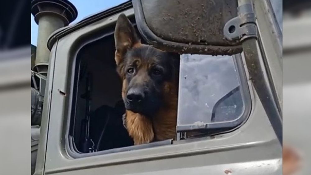 ������� ��� �� �����: ������� ������� ������� �� ���, �������� �� ����� � ������