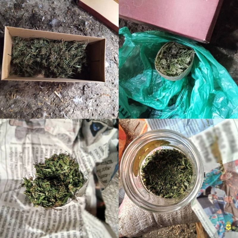 ������ � ����������� � ���������� ������� ������������