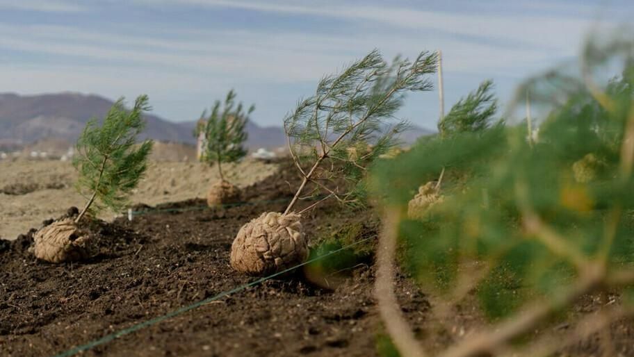 ��������� ��������� � ������ �� �������������� ����� � ���������� �������