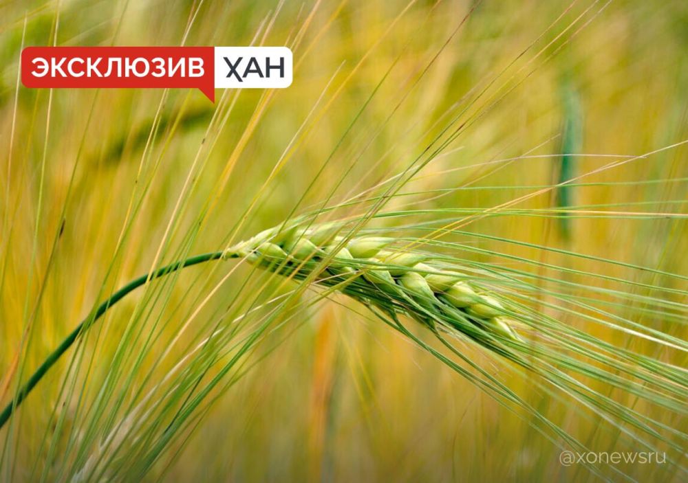 ��������� �������� ������� �� �������� �� ����������� � ���� ���� � �������