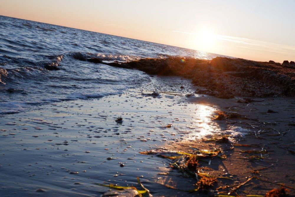 ����� ��������. � ����������� �������� �����������: