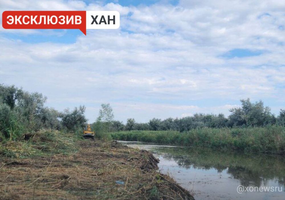 �� 2027 ���� ����� ������� ����� 37 �� ���� ��������