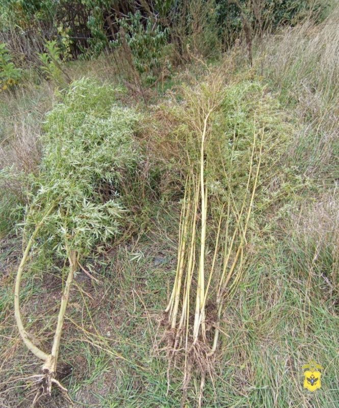 ������ ���� ������������ ���������� ������� ������ ��������� ��������������� �� ����������� �������