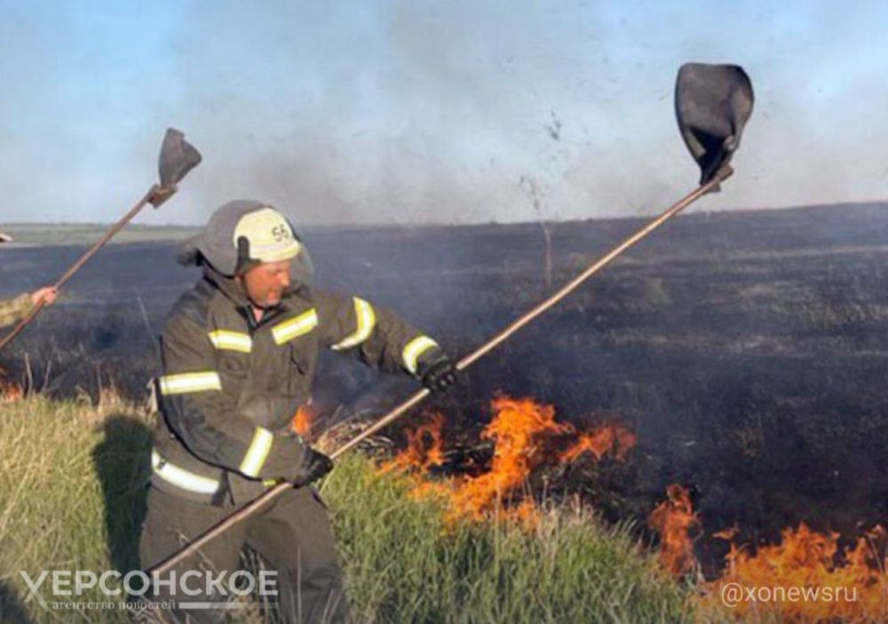 �� ��� ���� �� ������ � �������� � ���������� ������� �������� ����� 76 ��� ������