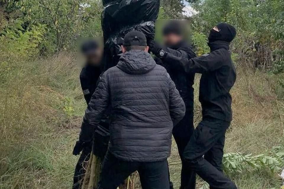 ������ ���������� ������� ������ �������� 61 ���� �������