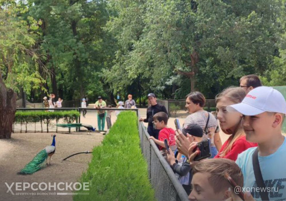 ������� ����������� ������� 12 ��������� ���������� ������������ ��������