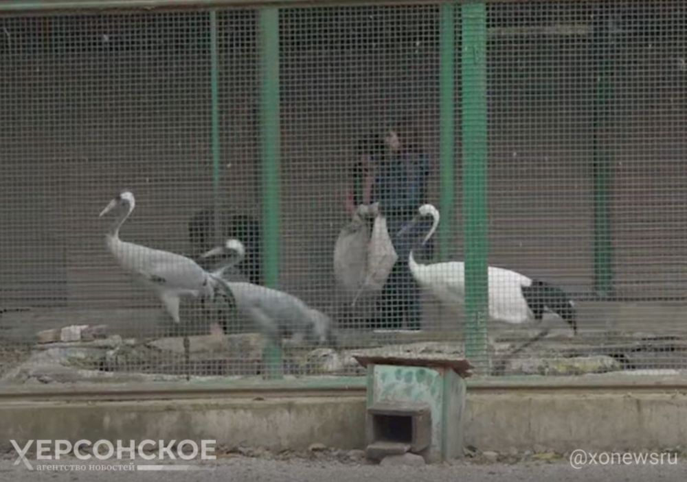 ���� ������. � ��������-���� ����������� ������ �������� � �������