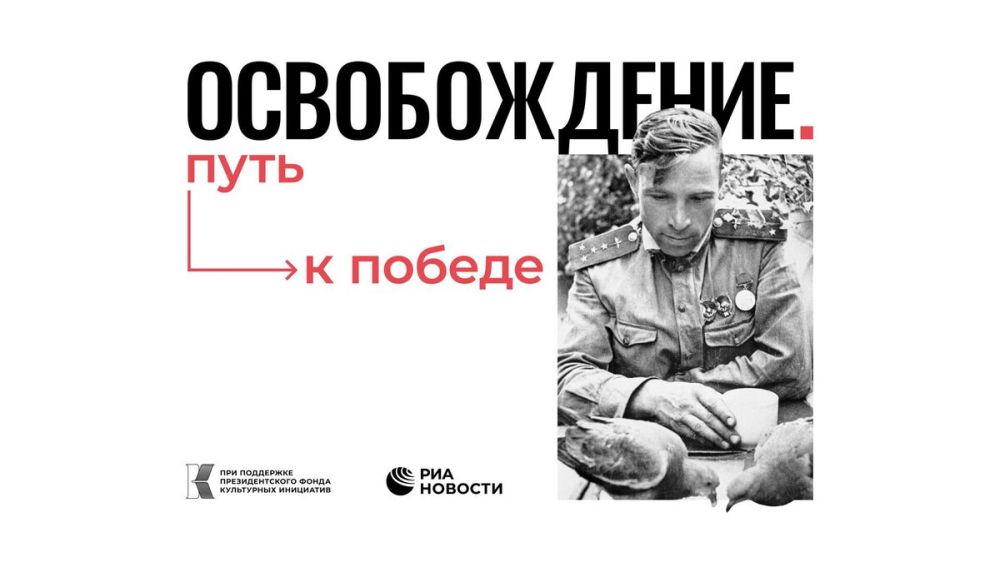 ��������� ������ - ���� - ���������� ������� - ����������� �������