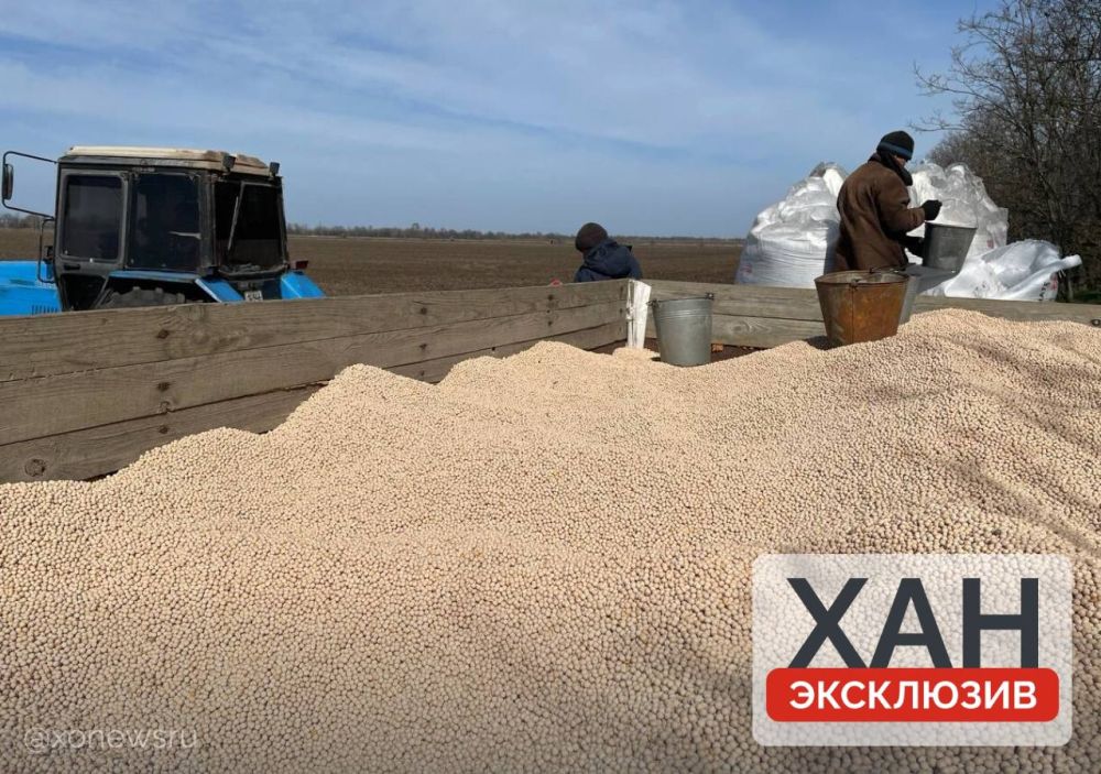 ����� ������������ ��������� � ������������� ���������, ������������ � ���������� �������