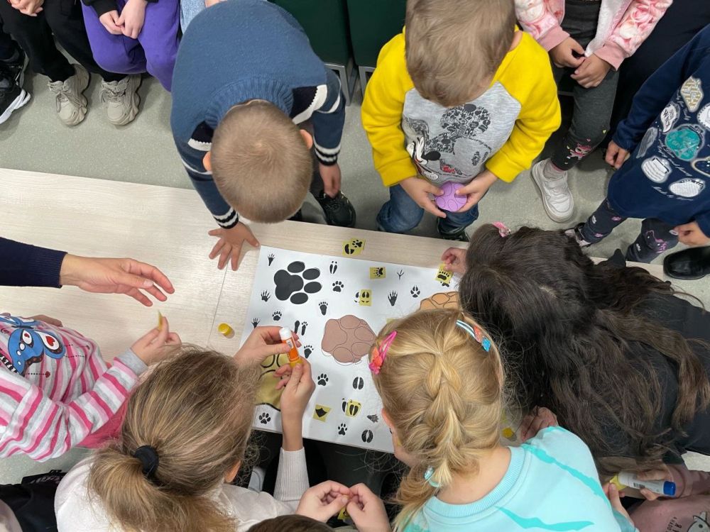 ������������� ���������� � ������������ ����-���� �2 "������": ��������� � ��������� ���������� "������������"