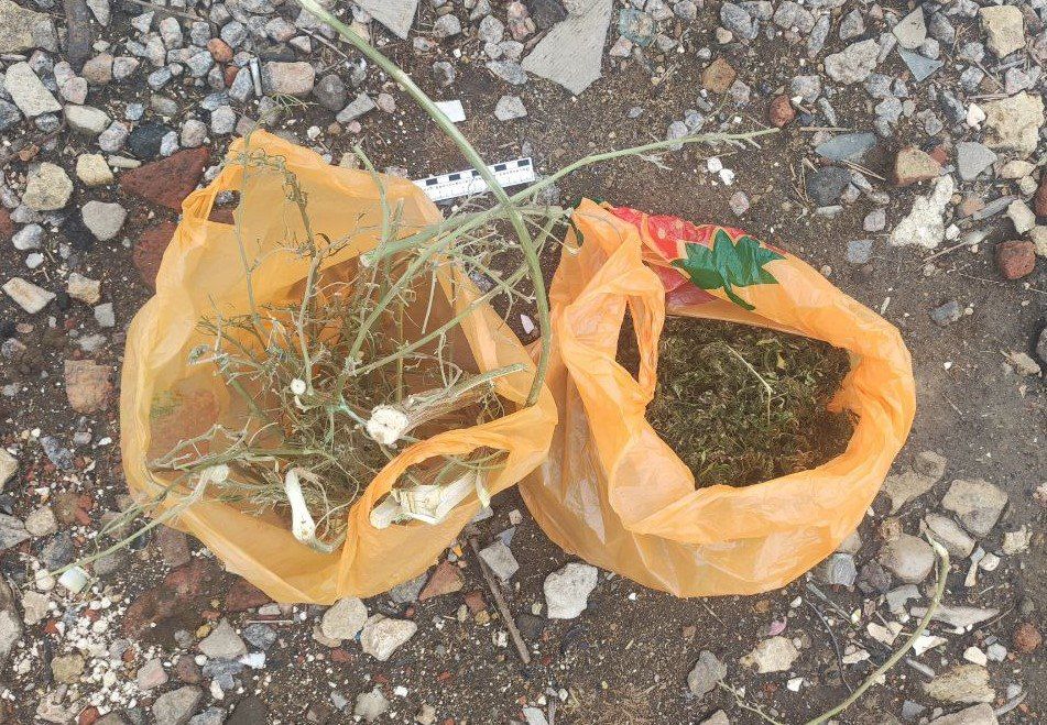 � ���������� ������� ����������� ������ ��������� � ������ ���������� ������