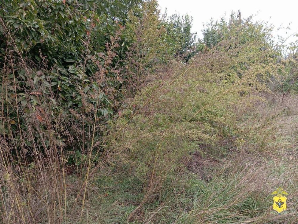 ������ ���� ������������ ���������� ������� �� ���������� ��������������� ��������, ���������� ������������� �������� ������ ��������� ���������������