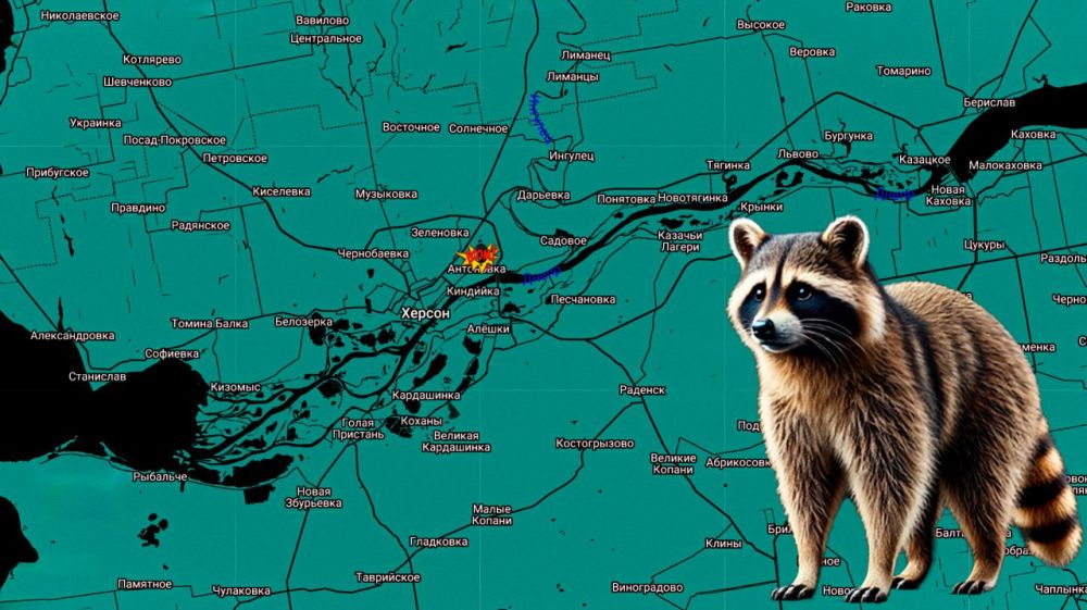 ���� �� �������: ������ ���� ����������� ����������: