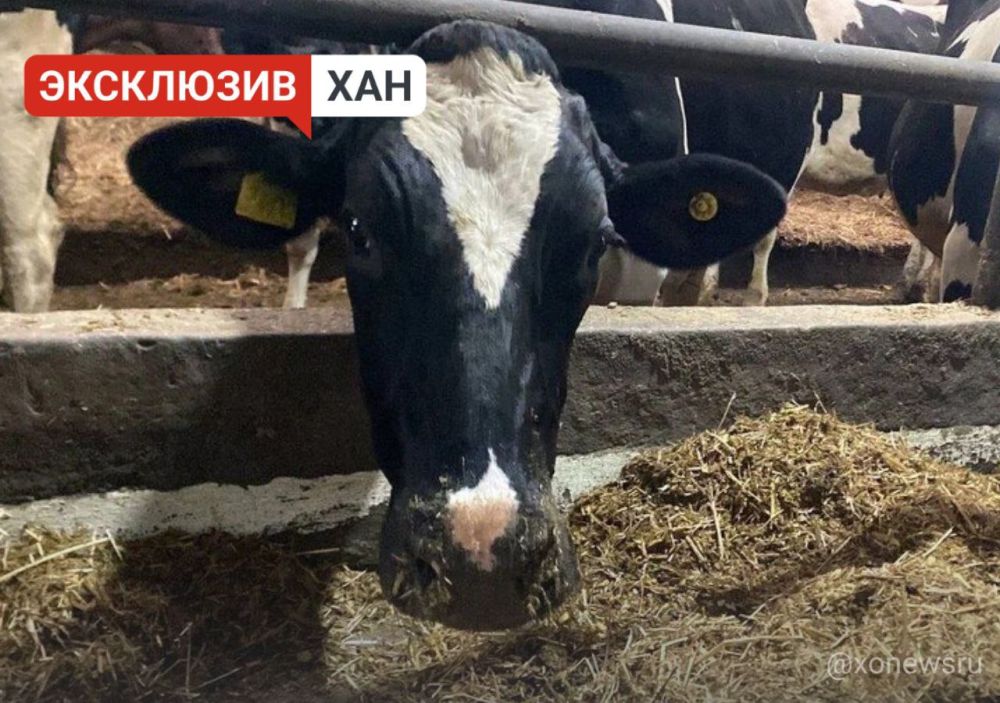 ������� ��������� �� ������������ �������������������� ������� ��� ����������