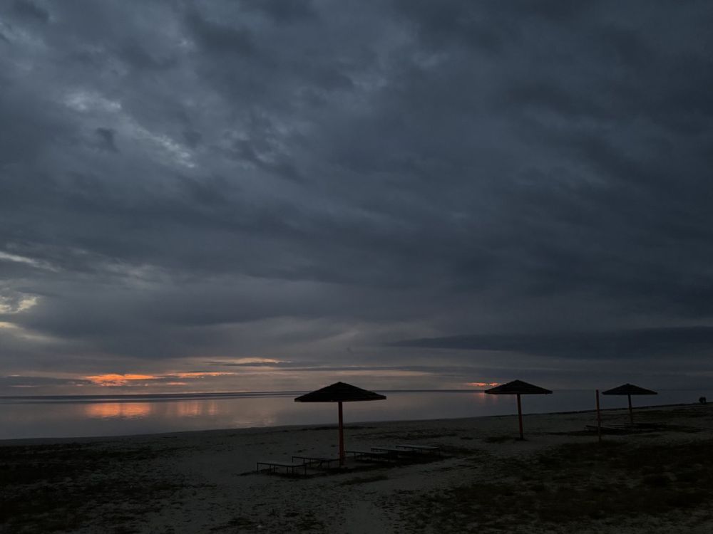 ������� "���� ����������"