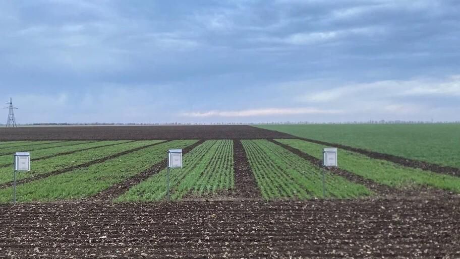 ������������ �������� �������: ���� ��������� �������������� �������� � ���������