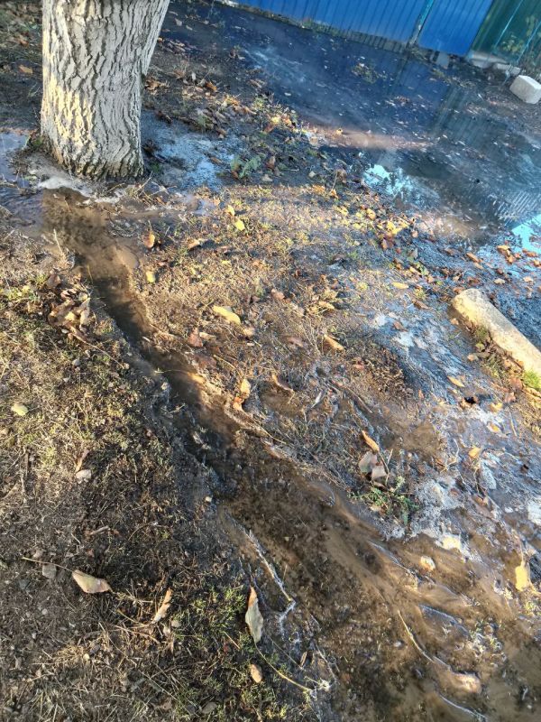 � ���� ��������� ��������� ������ ����������� � ������������ �������������