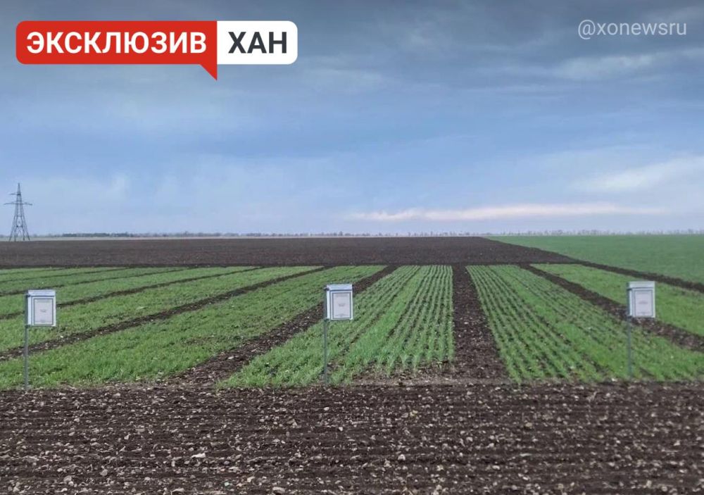 ����������� ������� ������������� ������ ��������� � ����� � ��� � ������ ��������