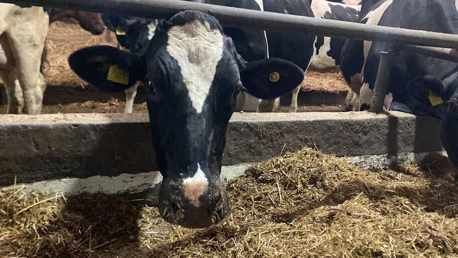 ������� ��������� �� ������������ �������������������� ������� ��� ����������