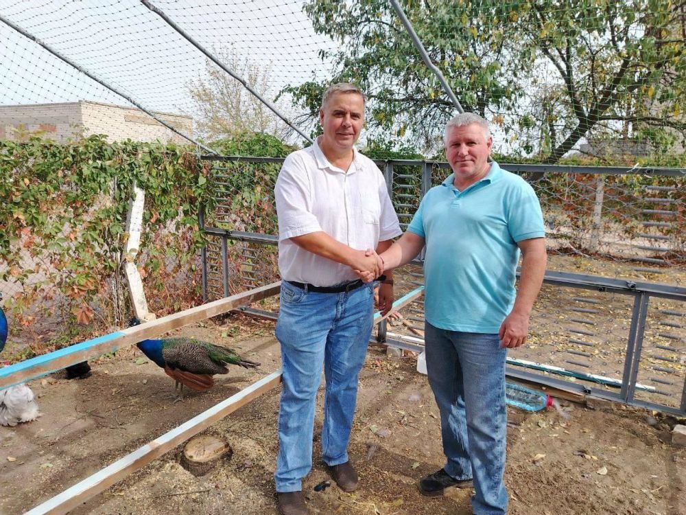 �������� ����������� ����������� "�������-����" ����� ����� ��� � �������������� ����������