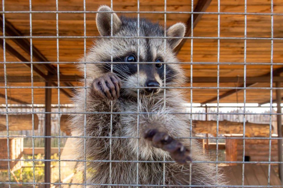 � �������������� ���������� ���������� ������� ���������� ���� � �������