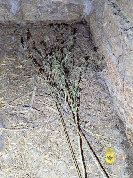 � ���������� ������� ����������� ������ ������������ �������� � ������ �. ������������