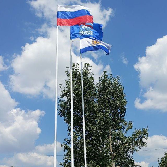 �������� �������� ���� �����������