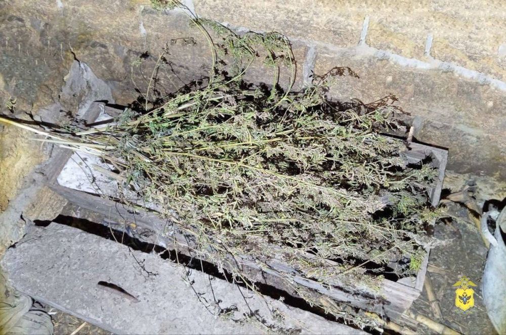 � ���������� ������� ����������� ������ ������������ �������� � ������ ���������������� ������