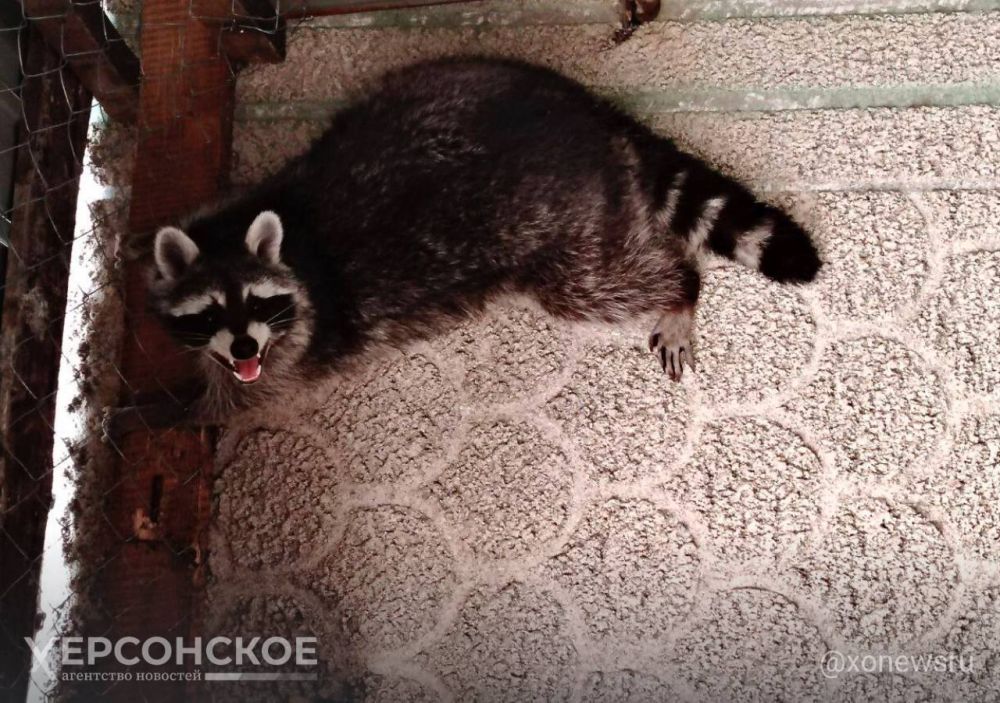 ������� � ���� ����������� ��������-���� ����� ����� ���