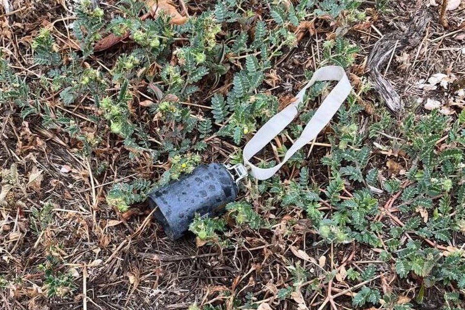 � ������� ����������� ��� ������������� ����������