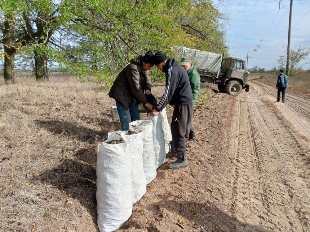 � �������������� ����������� �������� ���� ����� ��������