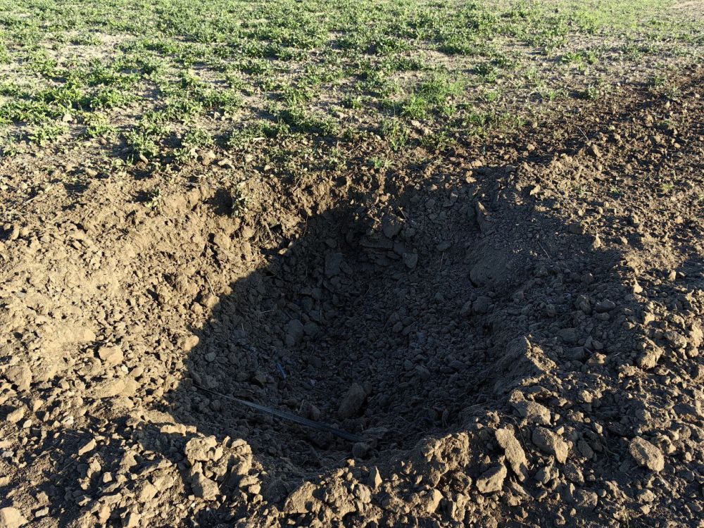 ����� ��������: ���������� ���������� � ���� ������������ ��� �����