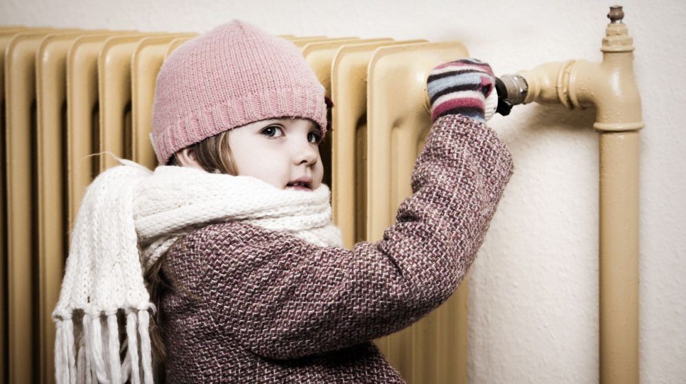 � ������������� ������ � ������� ������ ������ 56,4% �����