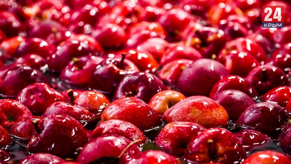 ��������� ������� ������ � ������, ������� ������� ���������