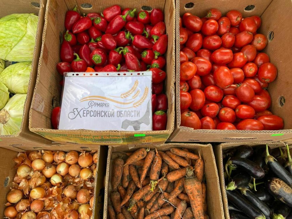 ������ ����������: ������� ����� �� ������ ��������� ������� � ����� �������