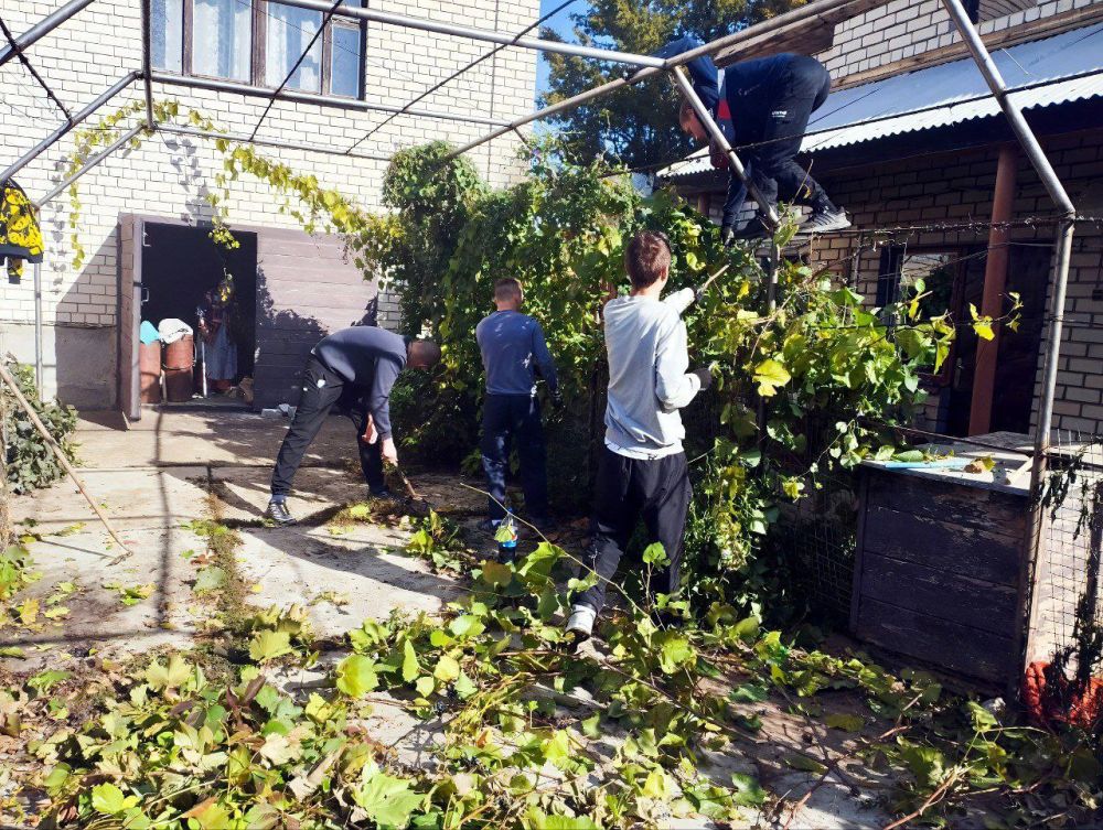 ���������� �������� ����������������� ����������� ���������� ������� ���������� ���������� ����������� �������������