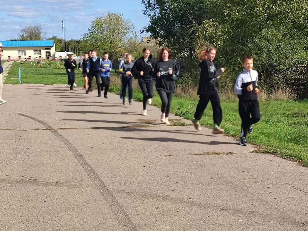 ����������������� ������� � ������������������� �����: ���������� �������� � ��� �����