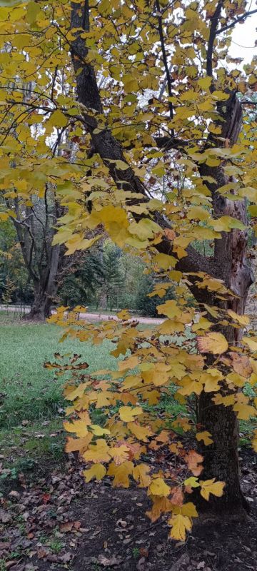 � ������ �����, �����������!